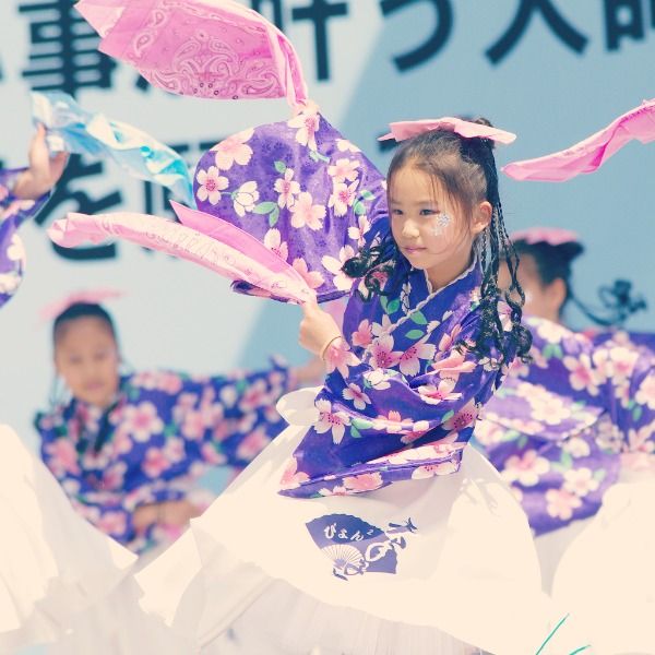 Yosakoi Sōran Festival Japón